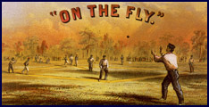 &ldquo;On the Fly.&rdquo; Click to enlarge.